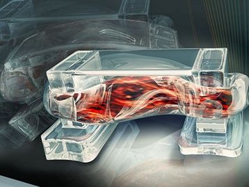 Biorrobô utiliza células musculares para se movimentar