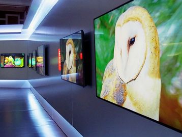 Vizio mostra como se faz e lança TV 4K de 50 polegadas a menos de US$ 1 mil