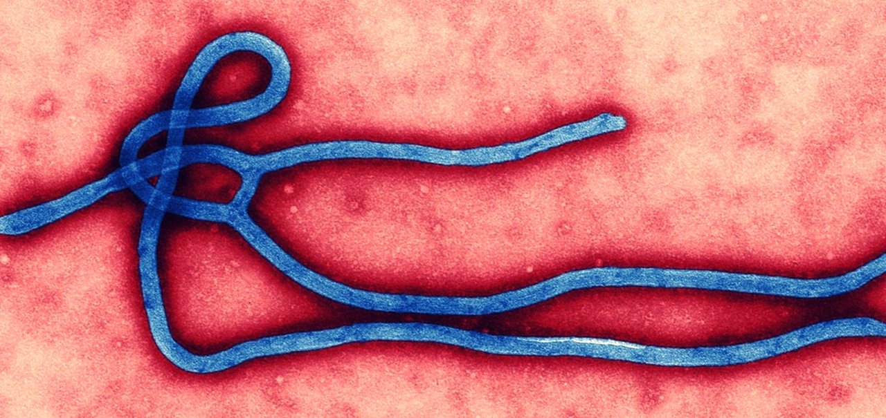 Combate ao ebola pode ter ajuda de análise de dados de celulares e Twitter