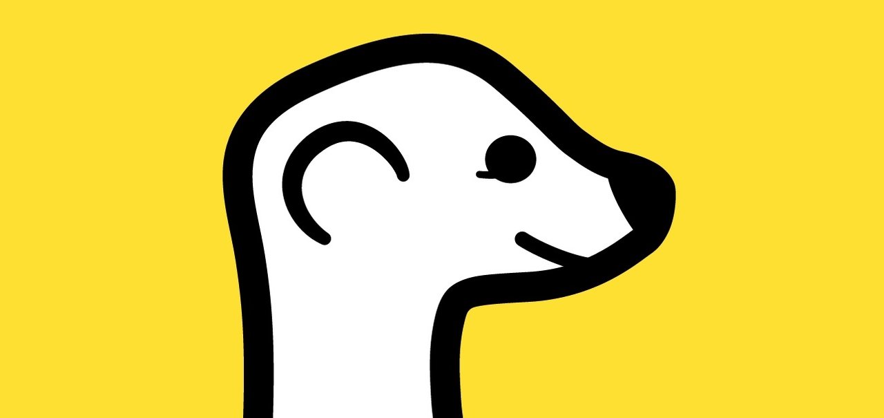 Nova febre social, Meerkat traz transmissões ao vivo para o Twitter