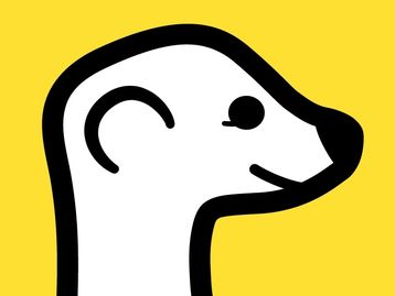 Nova febre social, Meerkat traz transmissões ao vivo para o Twitter