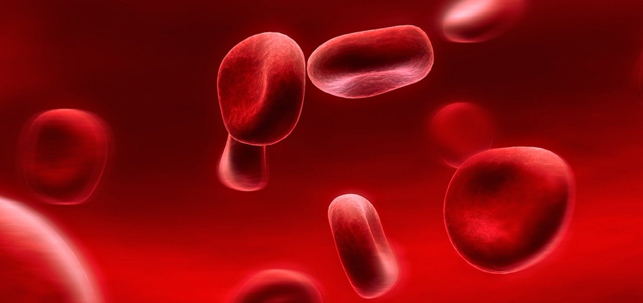 Sangue sintético será testado em humanos nos próximos dois anos