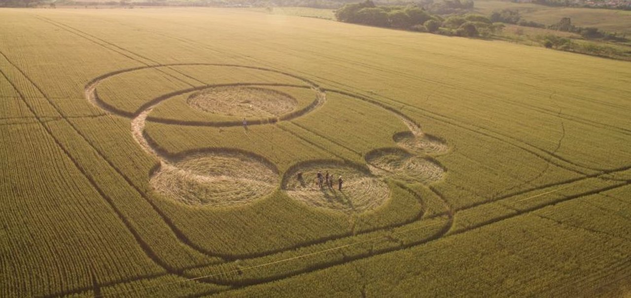 Círculos misteriosos aparecem em plantação no Paraná