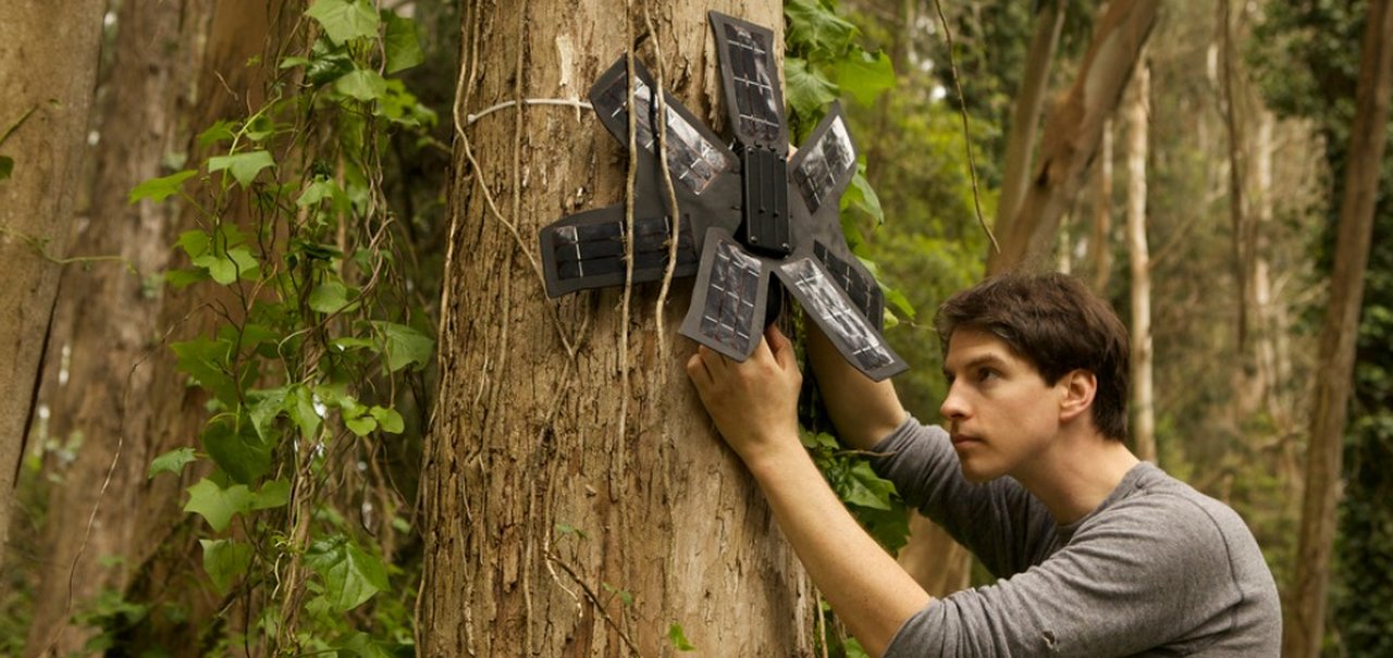 Seu celular velho pode ajudar a salvar a floresta amazônica