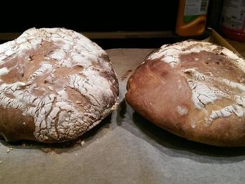 Blogueira prepara pão usando fungos de sua própria vagina