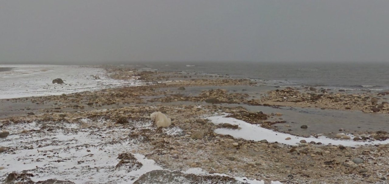 Tours do Street View o levam para áreas afetadas por mudanças climáticas 