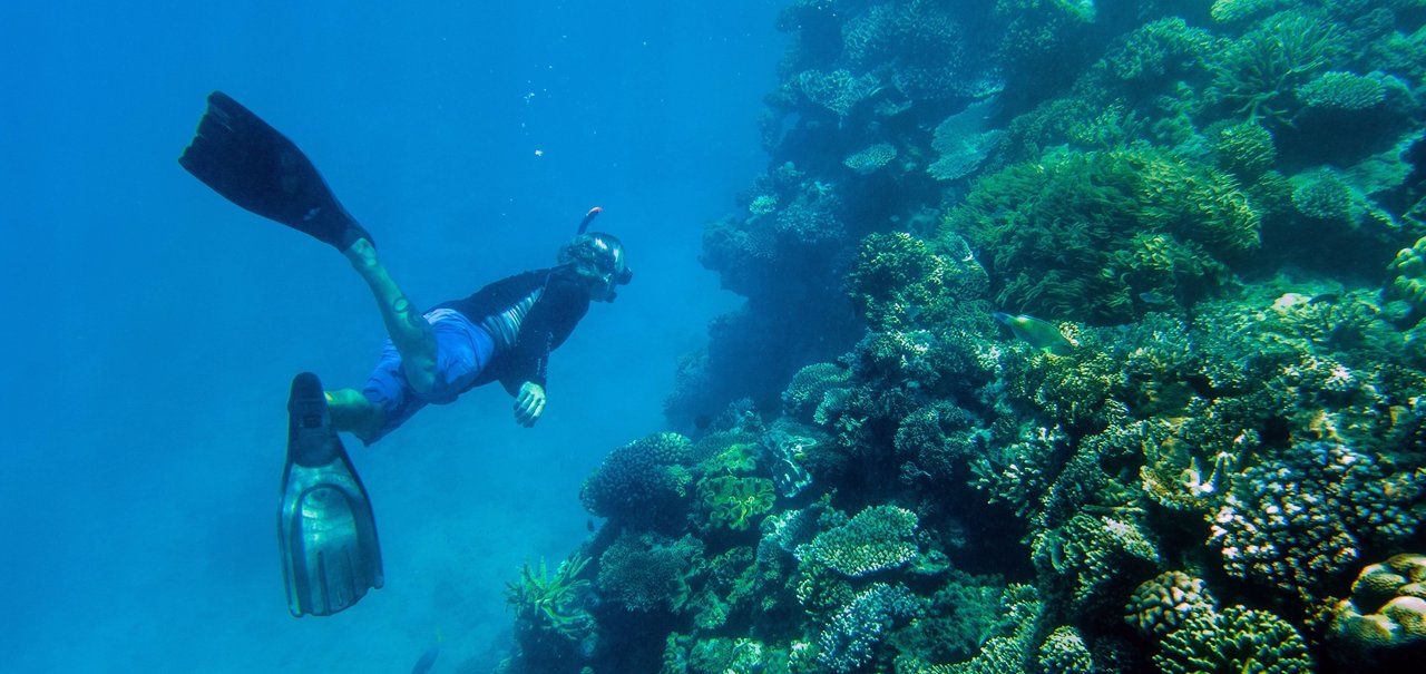 Fotógrafo do Nat Geo usa Lumias 950 para registrar Grande Barreira de Coral