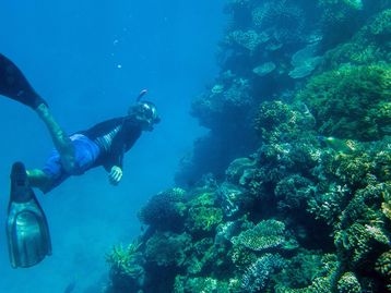 Fotógrafo do Nat Geo usa Lumias 950 para registrar Grande Barreira de Coral