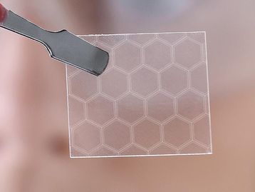 Cientistas criam ‘pele’ de grafeno elástica, retrátil e sensível ao toque
