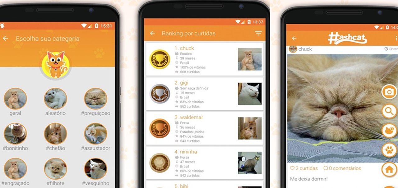 Conheça o Hashcat, um Instagram só para quem gosta de gatinhos