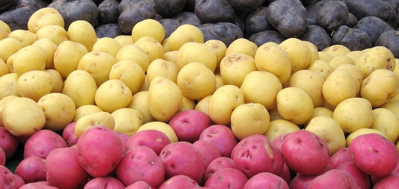 Como é que é? site envia 'batatas presenteáveis' para quem você ama