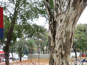 O TecMundo mapeou os 120 pontos de WiFi grátis da Prefeitura de SP; confira