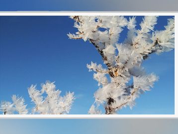 Com sensor biométrico e 3 GB de RAM, Xiaomi Redmi 3 Pro é anunciado