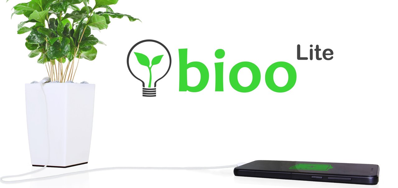 Bioo Lite: vaso de plantas usa a fotossíntese para gerar energia