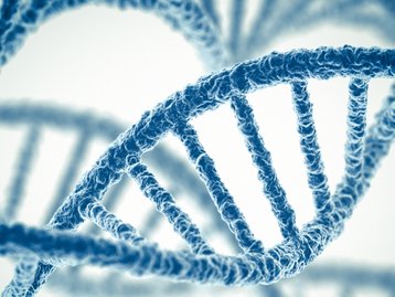 Grupo de cientistas quer criar “DNA sintético” para aprimorar os humanos