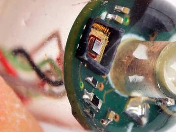 7 invenções geniais que já fizeram 2016 valer a pena