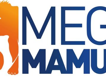 Até domingo! Mega Mamute faz promoção de placa de vídeo e processador