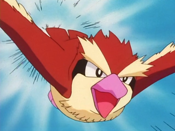 Qual a melhor forma de upar o seu nível em Pokémon GO? Pegue muitos Pidgeys