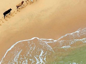 Baixe agora 15 dos belos wallpapers que virão nos novos celulares Nexus