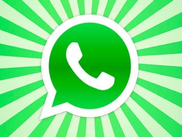Usuários querem que as empresas usem o WhatsApp profissionalmente