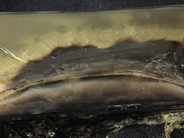 Galaxy Note 7 é filmado pegando fogo no Burger King [vídeo]