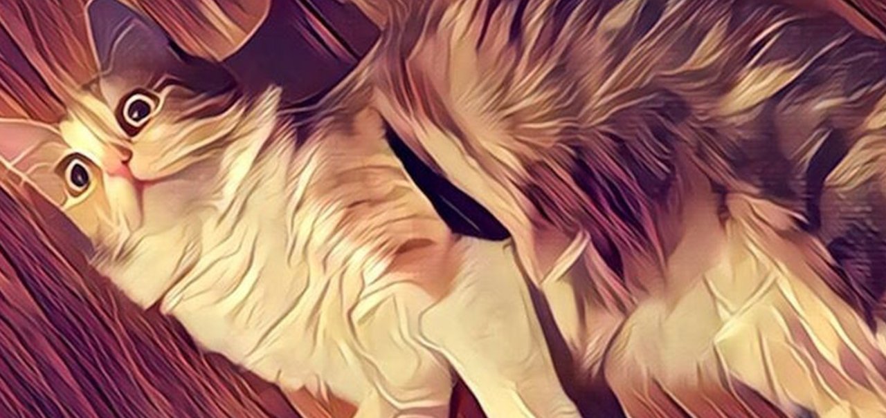 Prisma vai permitir que você treine o app para criar seus próprios filtros