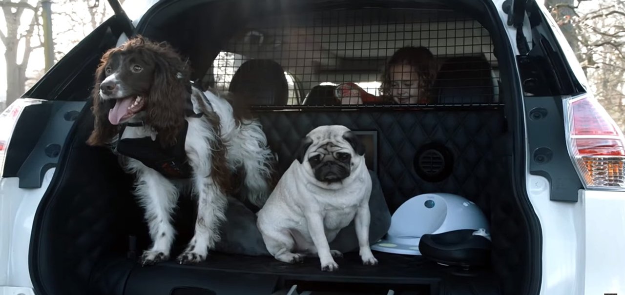 Nissan X-Trail 4Dogs: carro-conceito é ideal para levar cães para passear