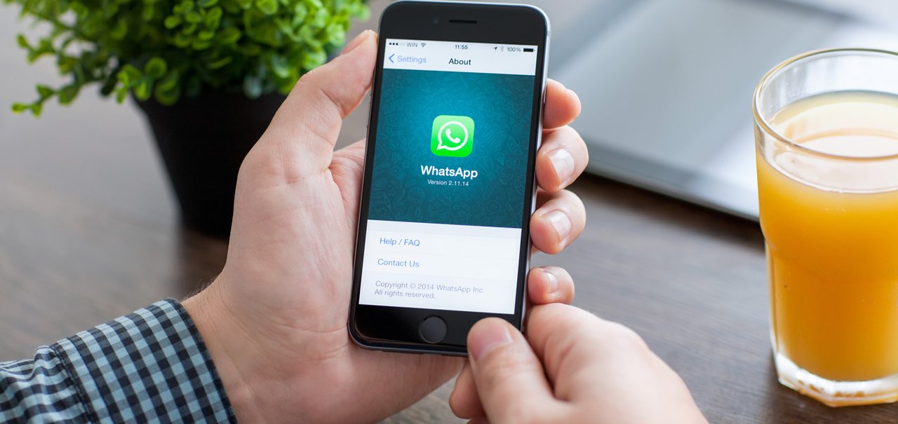 Não perca suas mensagens! Saiba como fazer backup das conversas do WhatsApp
