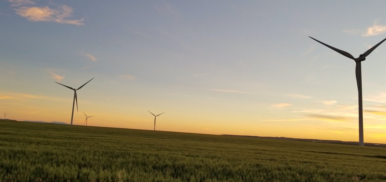 Futuro verde: energia eólica já é mais barata do que combustíveis fósseis