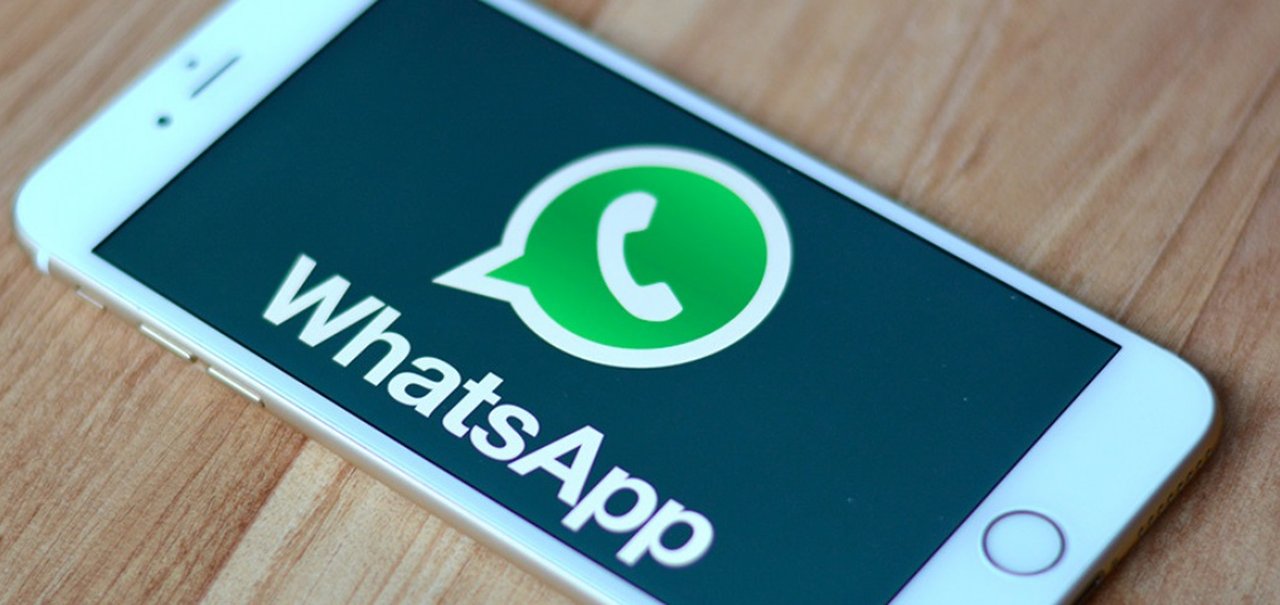 WhatsApp: veja como fazer o backup das suas conversas no iPhone