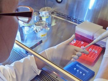 Startup deseja criar banco de dados com informações de seu DNA
