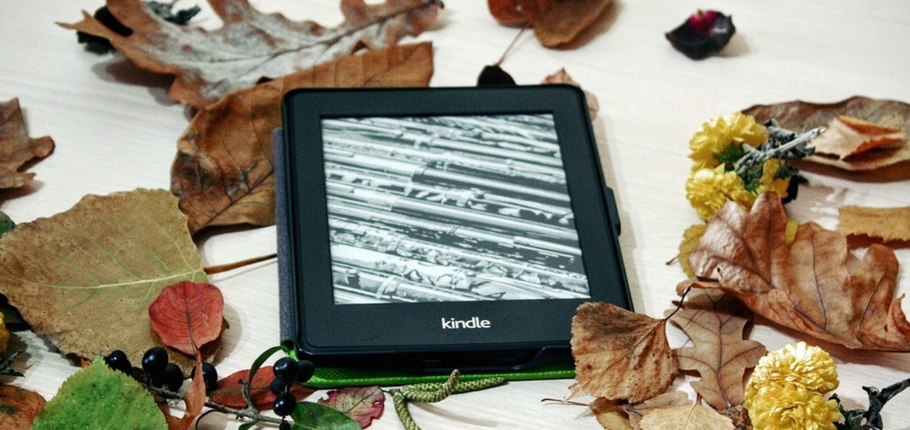 Descubra como deixar seu Kindle em português