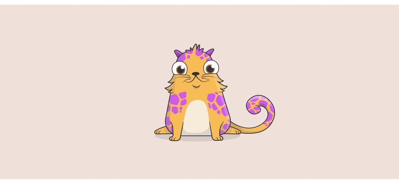 Compra de gatos virtuais com ethereum já movimentou US$ 6,7 milhões