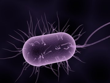 Diagnóstico via som é desenvolvido por cientistas para encontrar doenças