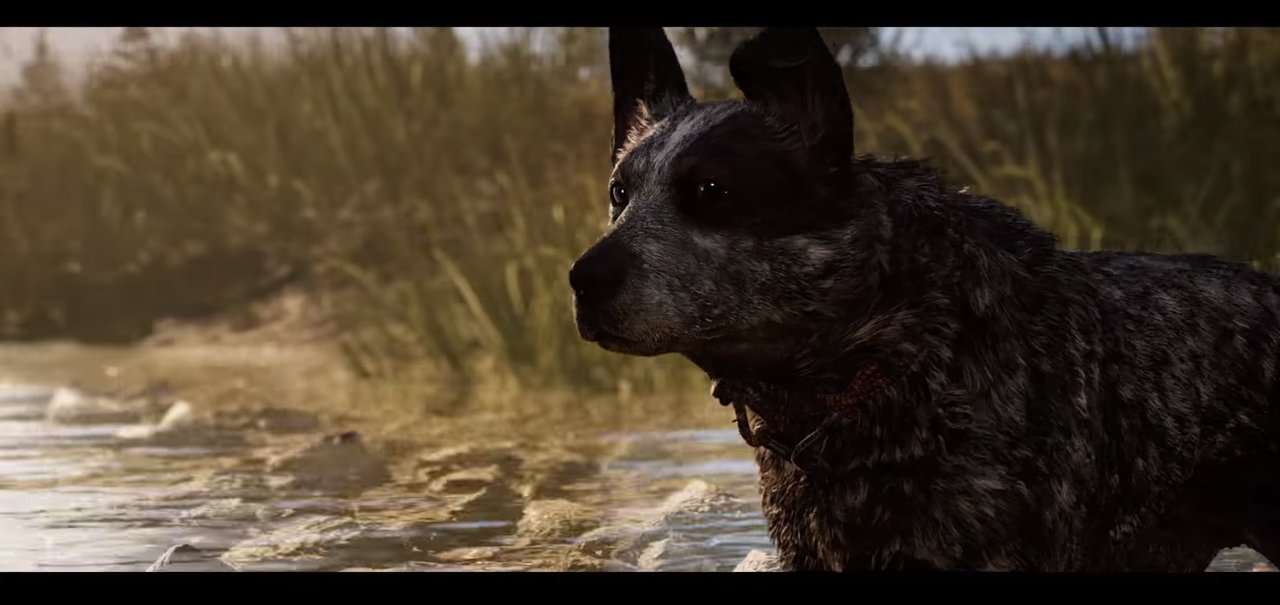 Melhor amigo do homem: vídeo de Far Cry 5 mostra o cão companheiro Boomer