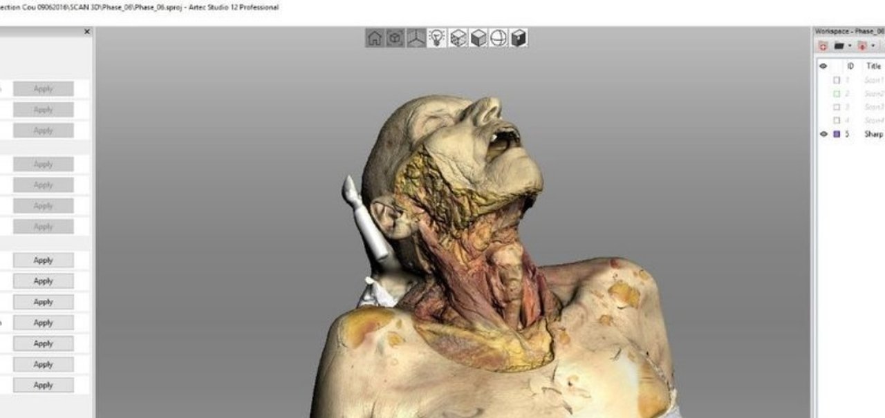 Modelos 3D prometem facilitar estudos de anatomia