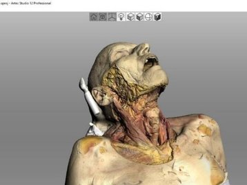 Modelos 3D prometem facilitar estudos de anatomia