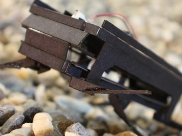 'Robogamis”: os robôs de papel inspirados nas formas da natureza