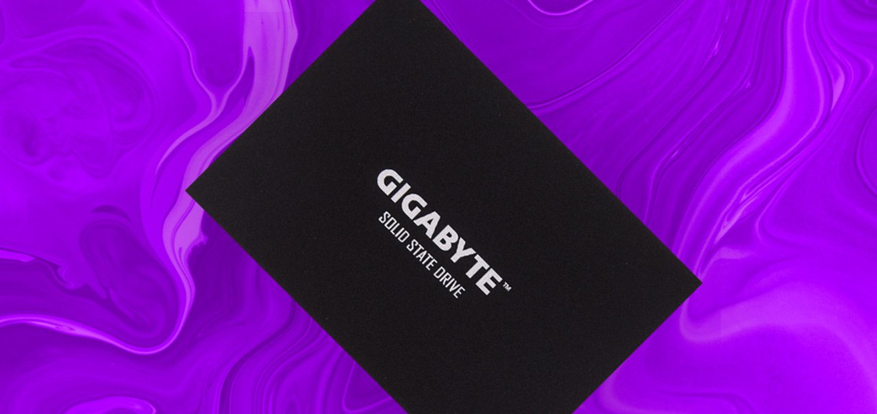 Review SSD GIGABYTE UD PRO 256 GB – The Hardware Show