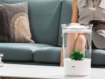 Vaso de plantas inteligente promete garantir tudo o que elas precisam