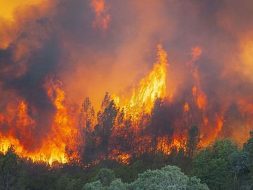 Incêndio na Califórnia vira meio de atrair audiência no Instagram