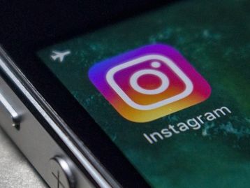Um chimpanzé usando o Instagram é a coisa mais fofa que você vai ver hoje