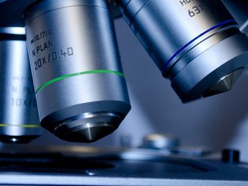 Cientistas substituem DNA de bactéria e criam vida sintética