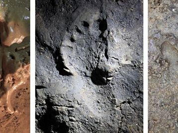 Pegadas de 14 mil anos sugerem como os humanos se comportavam