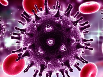 Avanço na medicina: vírus HIV é erradicado do genoma de animais pela 1ª vez