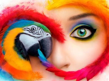 Adobe Creative Cloud para equipes está com 40% de desconto