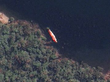 Baleias encalhadas agora podem ser encontradas por satélites