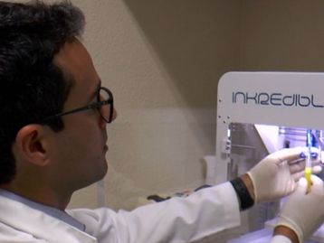 Pesquisadores da USP criam minifígado funcional em impressora 3D