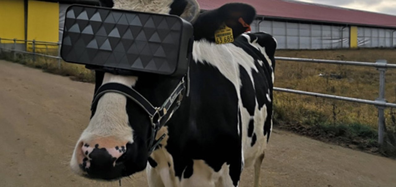 Vacas estão usando headsets VR na Rússia — entenda