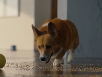 Samsung apresenta o Ballie, um simpático robô em forma de bolinha